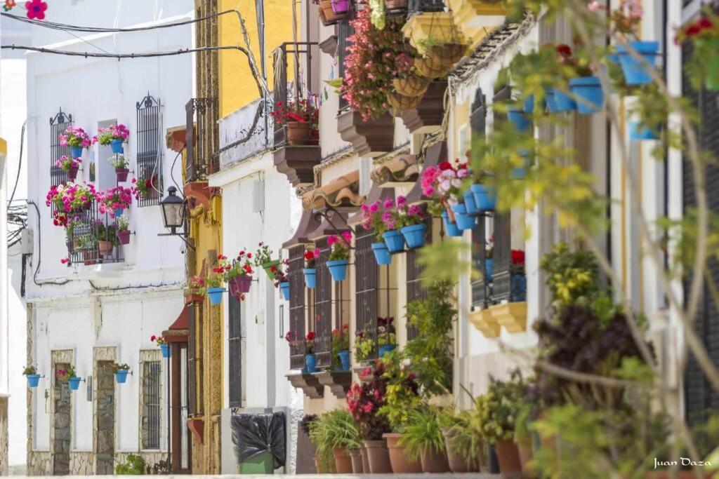 Casa "Las Flores" بارباتي المظهر الخارجي الصورة